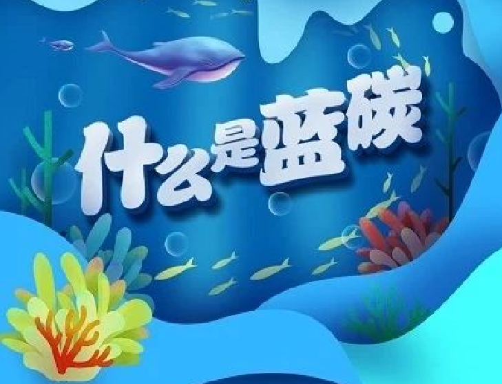 圖解｜你知道“藍碳”是什么嗎？